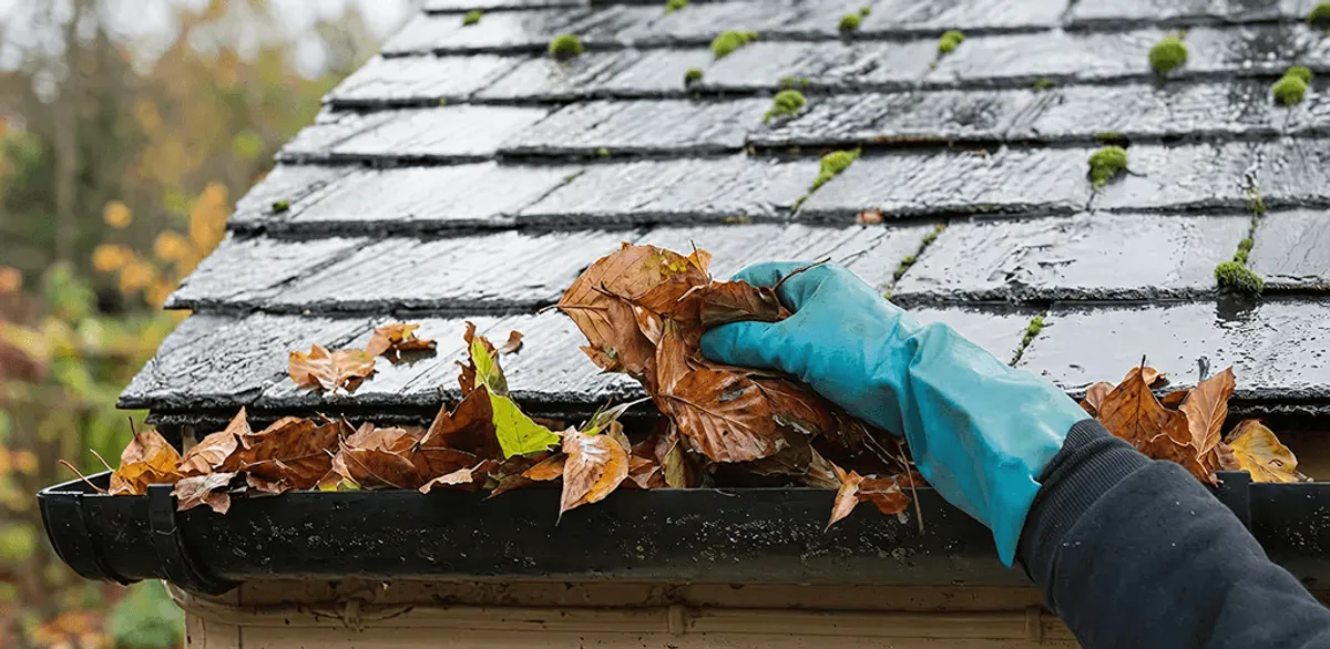Gutter cleaning technician clearing wet leaves from roof gutters in Naperville, IL